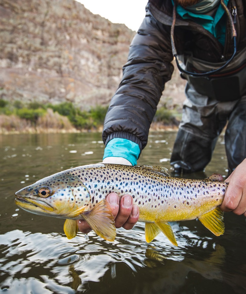 Fly Fishing for Trout: What You Need and What You Don't. - Karmik Outdoors